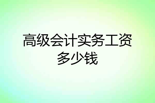 高级会计实务工资多少钱