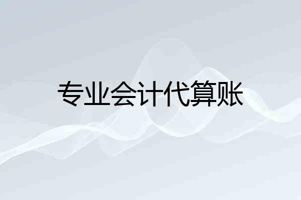 专业会计代算账