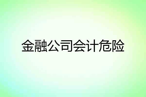 金融公司会计危险