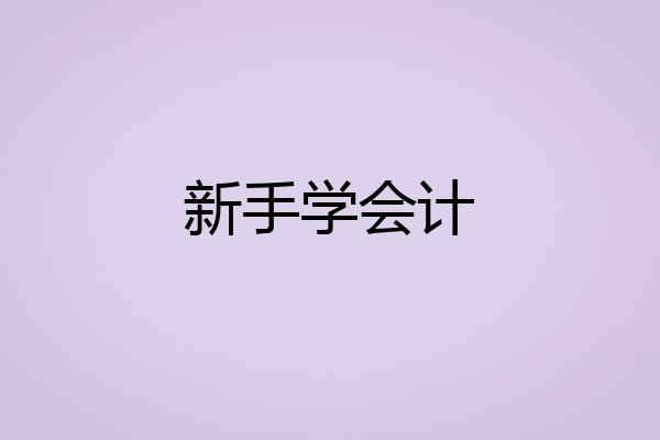 新手学会计