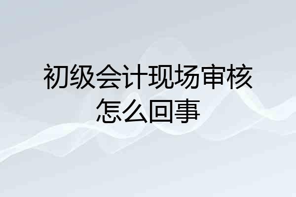初级会计现场审核怎么回事