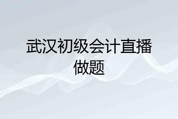 武汉初级会计直播做题