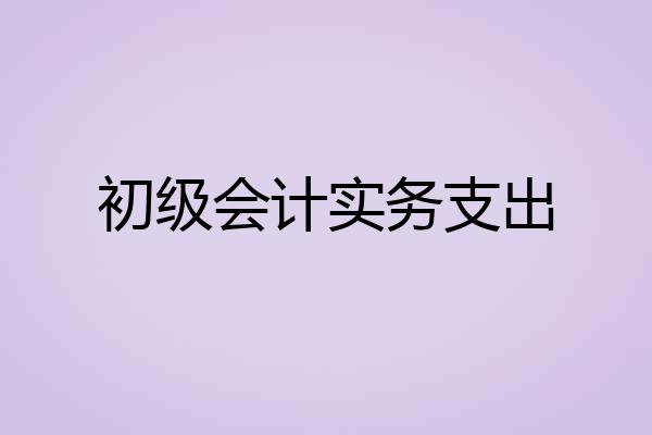 初级会计实务支出