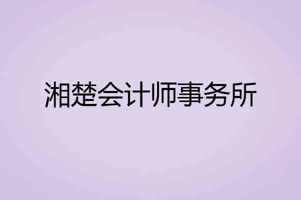 湘楚会计师事务所