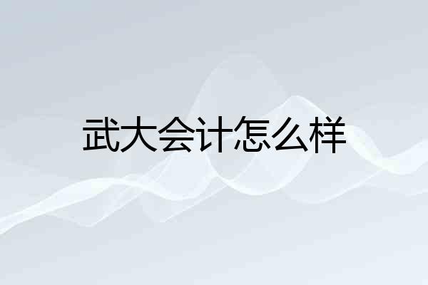 武大会计怎么样