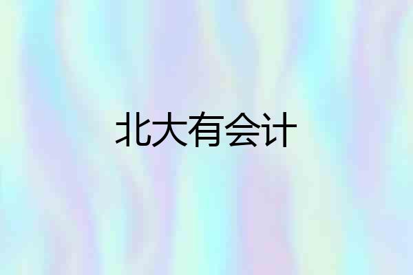 北大有会计
