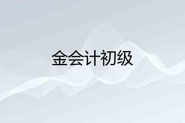 金会计初级
