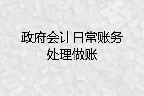 政府会计日常账务处理做账