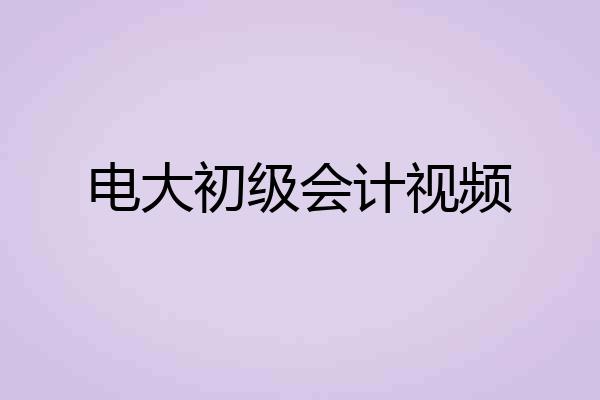 电大初级会计视频