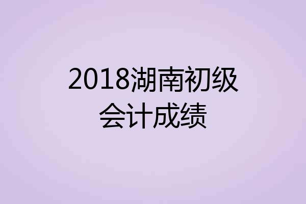 2018湖南初级会计成绩