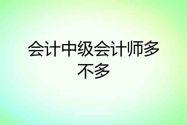 会计中级会计师多不多