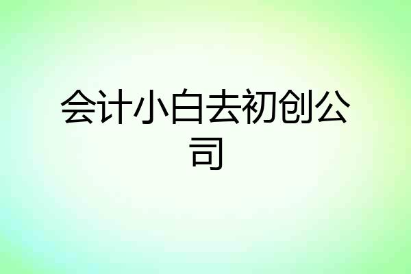 会计小白去初创公司