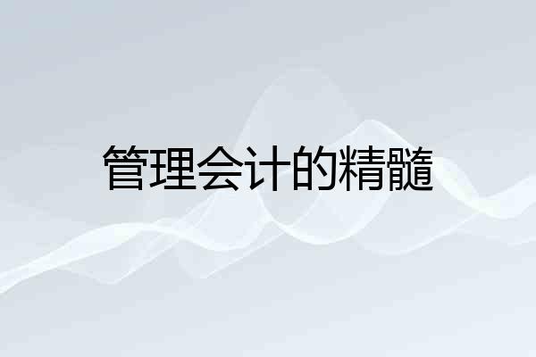 管理会计的精髓