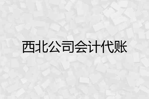 西北公司会计代账