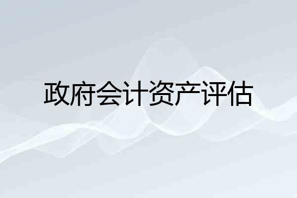 政府会计资产评估