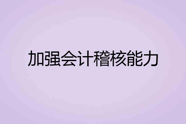 加强会计稽核能力