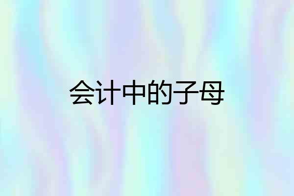 会计中的子母