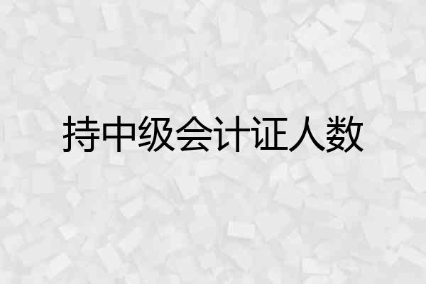 持中级会计证人数