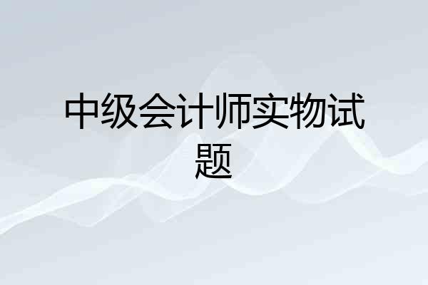 中级会计师实物试题