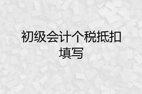 初级会计个税抵扣填写