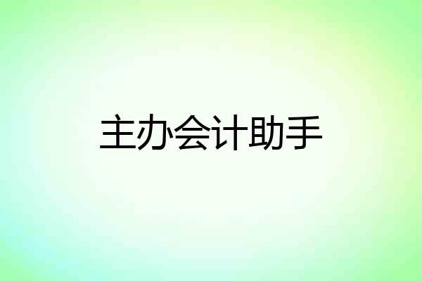 主办会计助手