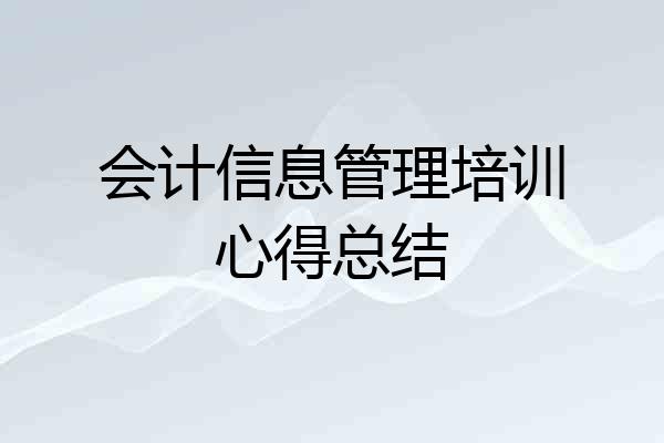 会计信息管理培训心得总结