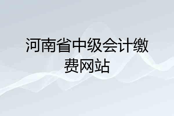 河南省中级会计缴费网站
