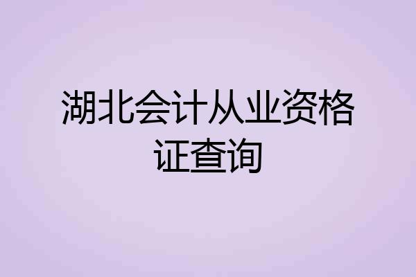湖北会计从业资格证查询
