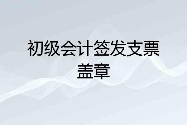 初级会计签发支票盖章