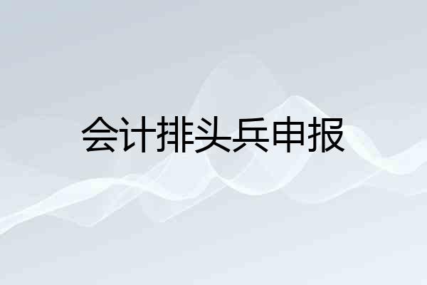 会计排头兵申报