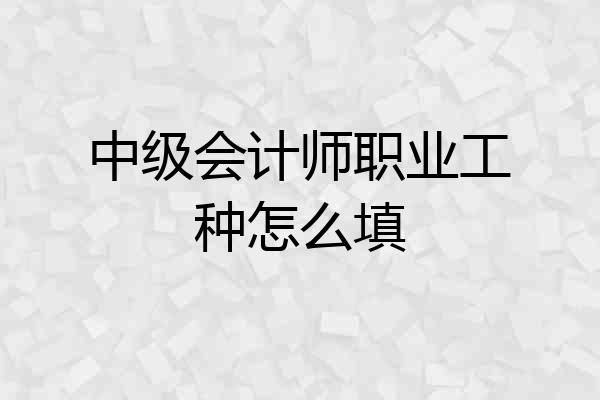 中级会计师职业工种怎么填