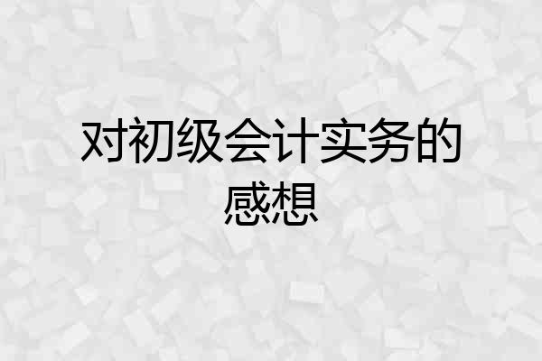 对初级会计实务的感想