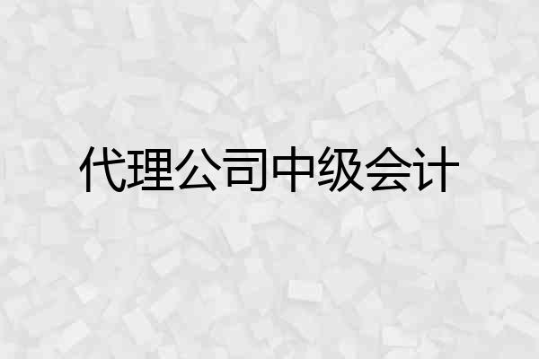 代理公司中级会计