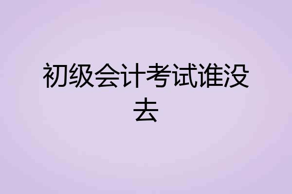初级会计考试谁没去
