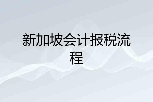 新加坡会计报税流程
