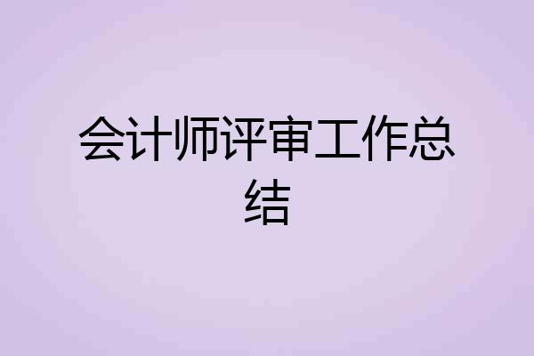 会计师评审工作总结