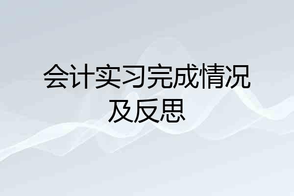 会计实习完成情况及反思