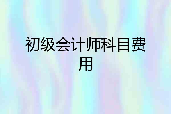 初级会计师科目费用