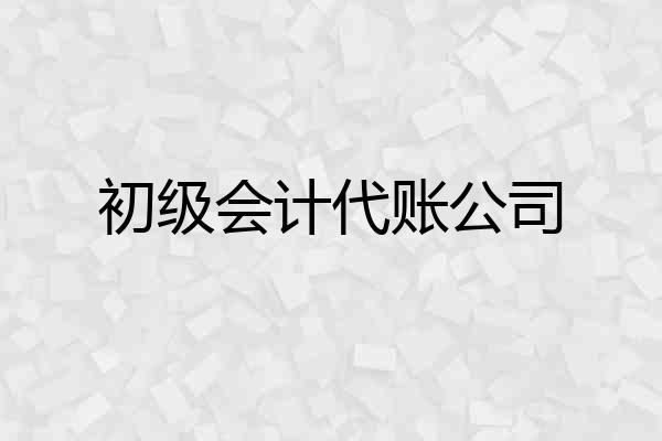 初级会计代账公司