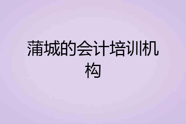 蒲城的会计培训机构