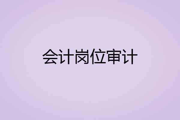 会计岗位审计