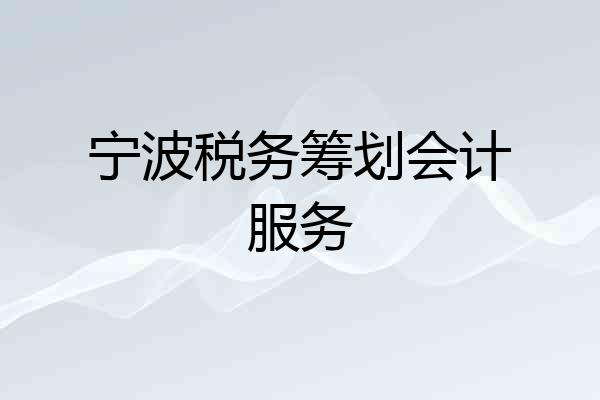 宁波税务筹划会计服务