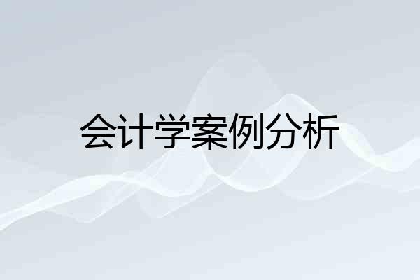 会计学案例分析