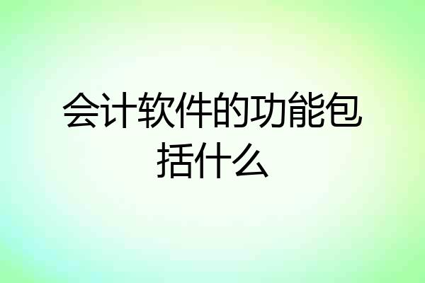 会计软件的功能包括什么