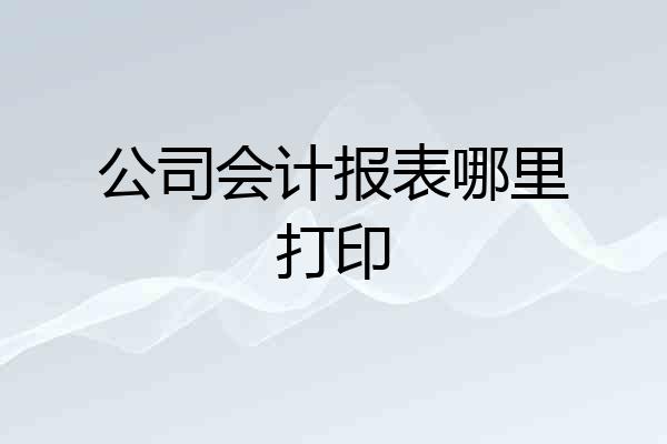 公司会计报表哪里打印
