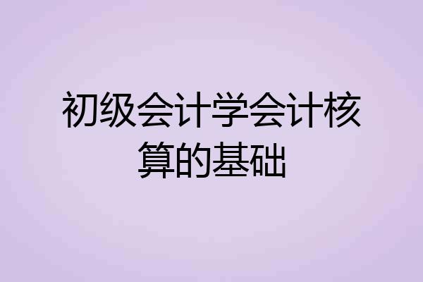 初级会计学会计核算的基础