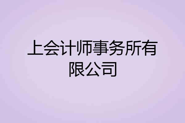 上会计师事务所有限公司