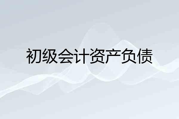 初级会计资产负债