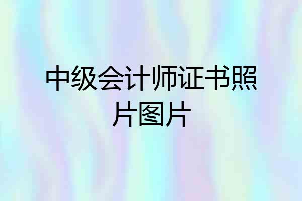 中级会计师证书照片图片