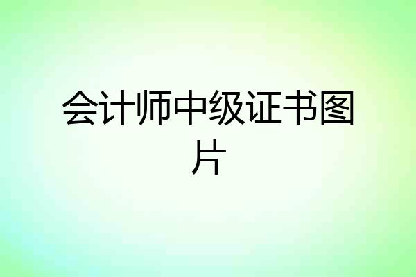 会计师中级证书图片